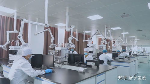 先創新,后挖潛,用合作帶動產品開發——金木集團打開眼界算細賬